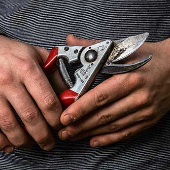 Felco 8 pruning shears