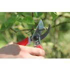 ARS 120DX pruning shears