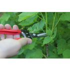 ARS 300L harvesting shears