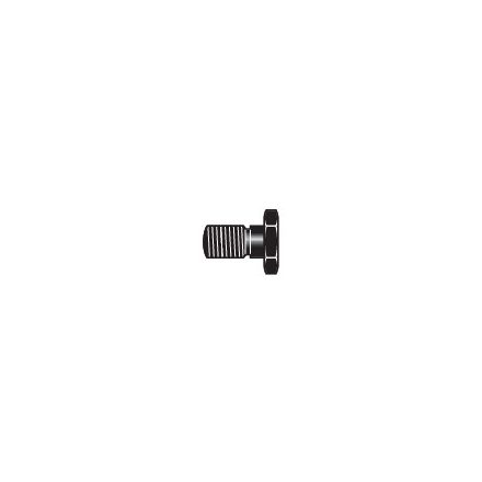 Felco screw 5/8