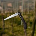 Alpen Bernina 6195 saw