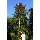 ARS EXP 5.5 telescopic pole