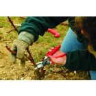 Felco 10 left-handed pruning shears