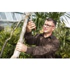 Felco 11 metszőolló