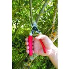 Felco 12 pruning shears