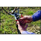 Felco 13 pruning shears + Felco 600 hacksaw in gift box