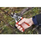 Felco 15 pruning shears