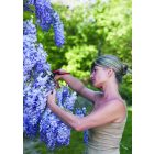 Felco 160 L metszőolló + ajándék FELCO váza