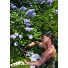 Felco 160 L metszőolló + ajándék FELCO váza