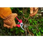 Felco 171 L pruning shears