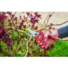 Felco 171 L pruning shears