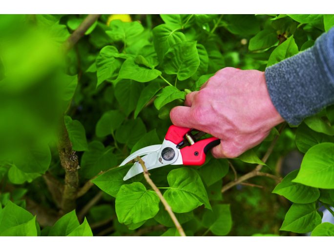 FELCO 171 L metszőolló könnyű kompozit nyéllel, nagy kézre, 175 gramm, 25 mm vágásátmérő