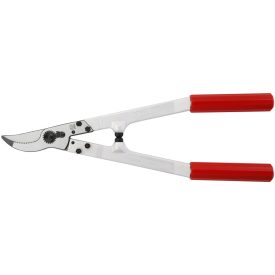 Felco 20 pruning shears