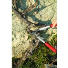 Felco 200A-40 pruning shears