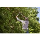 Felco 211-50 pruning shears