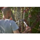 Felco 211-50 pruning shears