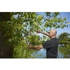 Felco 211-60 pruning shears