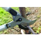 Felco 220 pruning shears