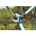 Felco 230 geared pruning shears