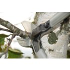 Felco 230 geared pruning shears