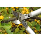 Felco 231 áttételes rávágó ágvágó olló