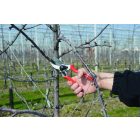 Felco 2 pruning shears