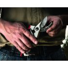 Felco 2 pruning shears