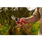 Felco 2 pruning shears