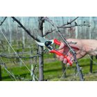 Felco 2 pruning shears