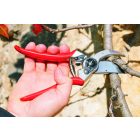 Felco 2 pruning shears
