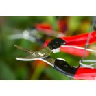 Felco 320 universal harvesting shears