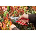 Felco 4 pruning shears