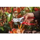 Felco 4 pruning shears