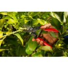 Felco 5 pruning shears + Felco 600 hacksaw in gift box