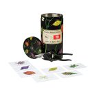 Felco 6 pruning shears Stéphane Marie Special Edition