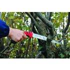 Felco 611 branch saw