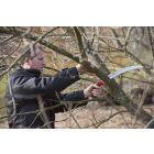 Felco 630 branch saw