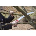 Felco 630 branch saw