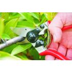 Felco 6 pruning shears