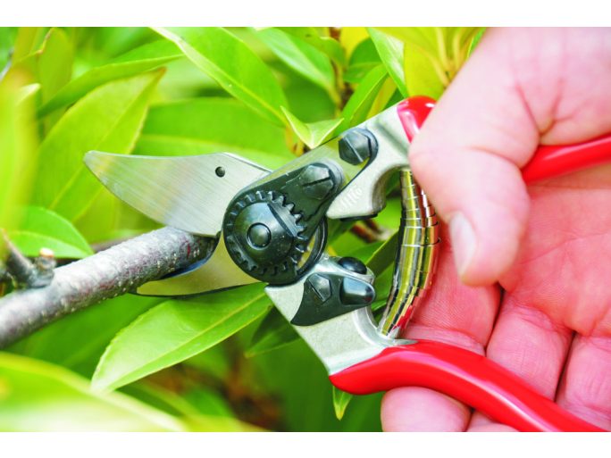 FELCO 6 metszőolló karcsú piros nyéllel, kisebb kézhez tervezve, 20 mm vágásátmérő