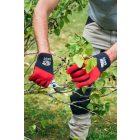 Felco 704 cut-proof gloves M