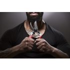 Felco 7 pruning shears