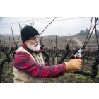 Felco 7 pruning shears