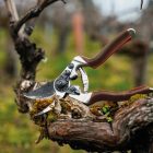 Felco 8 Elite pruning shears