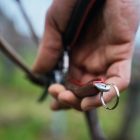 Felco 8 Elite pruning shears