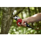 Felco 811 Plus battery pruning shears complete package