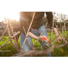 Felco 812 HP battery pruning shears - only the machine!