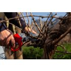 Felco 812 Plus battery pruning shears complete package