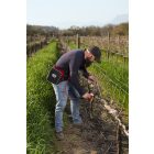 Felco 812 Plus battery pruning shears complete package