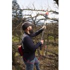 Felco 812 Plus akkumulátoros metszőolló komplett csomag